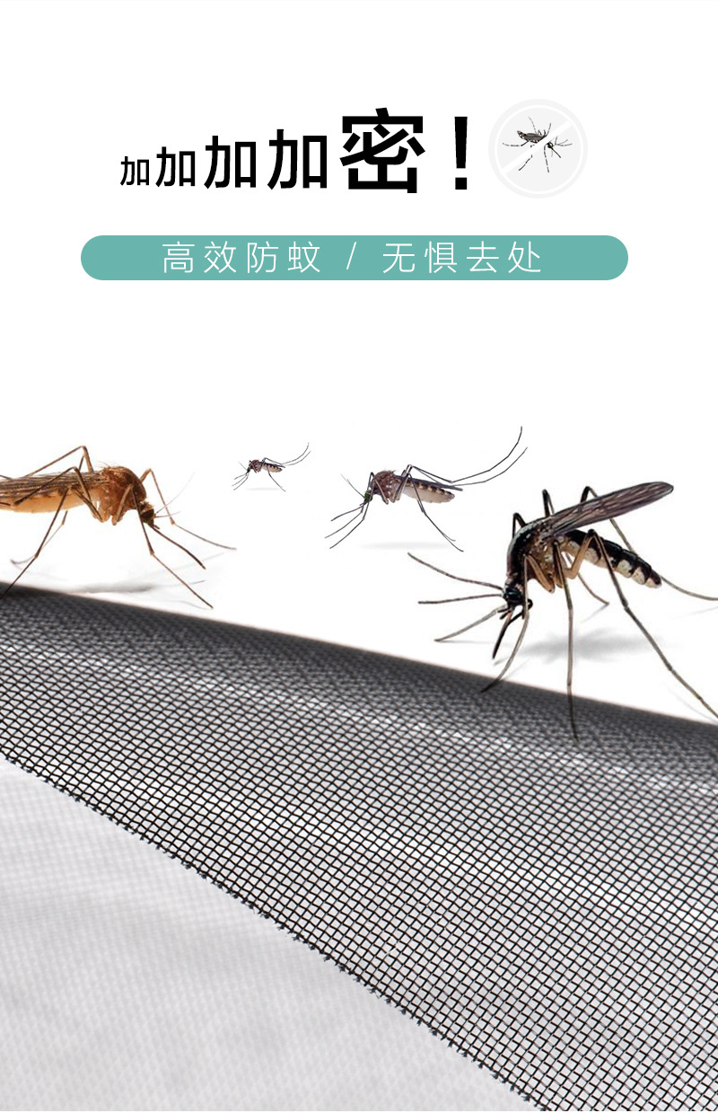 48目3.jpg